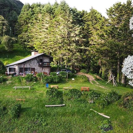 El Pital Ecolodge San Ignacio ภายนอก รูปภาพ