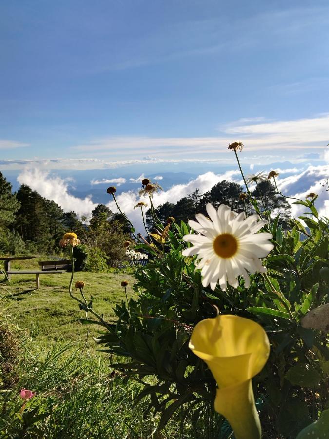 El Pital Ecolodge San Ignacio ภายนอก รูปภาพ
