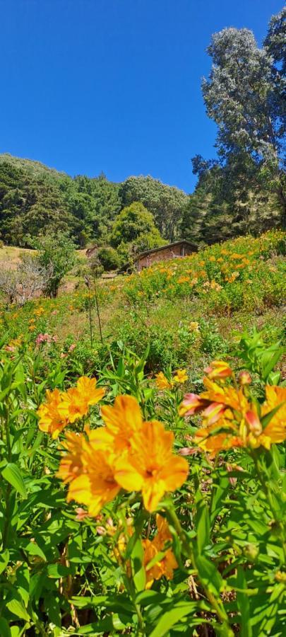 El Pital Ecolodge San Ignacio ภายนอก รูปภาพ