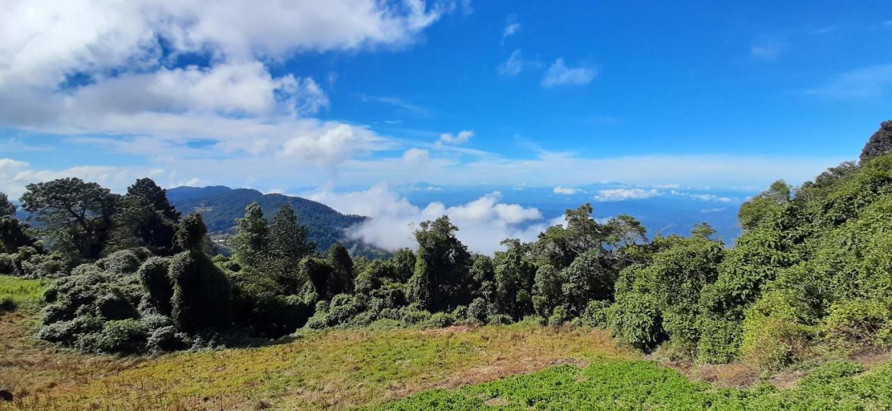 El Pital Ecolodge San Ignacio ภายนอก รูปภาพ